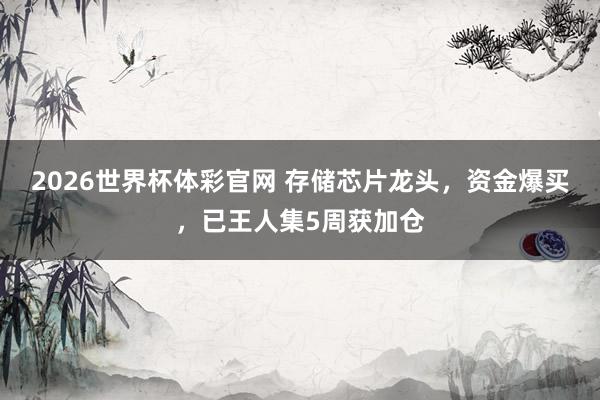 2026世界杯体彩官网 存储芯片龙头，资金爆买，已王人集5周获加仓