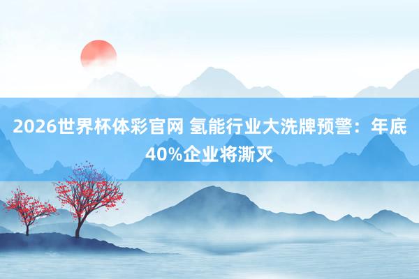 2026世界杯体彩官网 氢能行业大洗牌预警：年底40%企业将澌灭