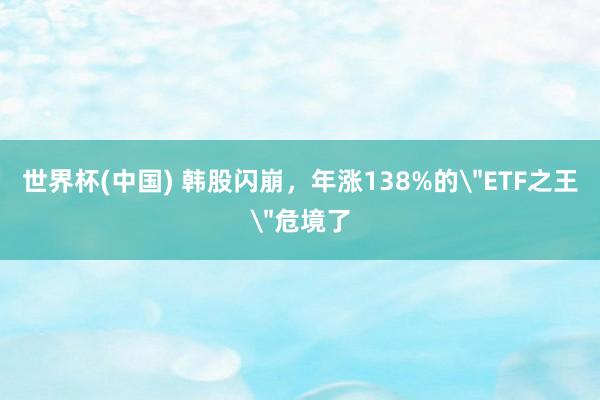世界杯(中国) 韩股闪崩，年涨138%的