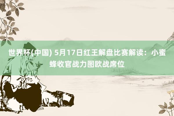 世界杯(中国) 5月17日红王解盘比赛解读：小蜜蜂收官战力图欧战席位