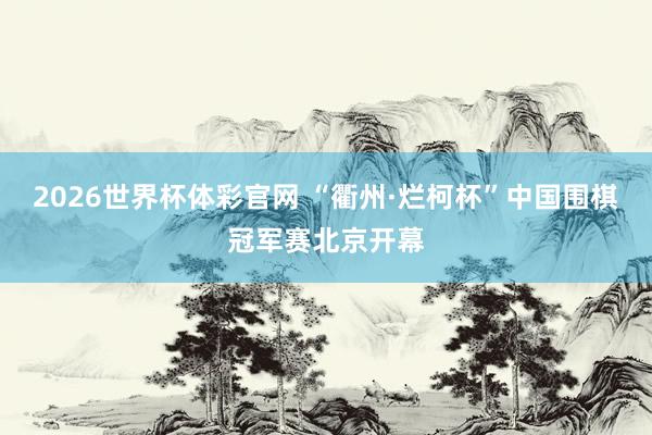 2026世界杯体彩官网 “衢州·烂柯杯”中国围棋冠军赛北京开幕