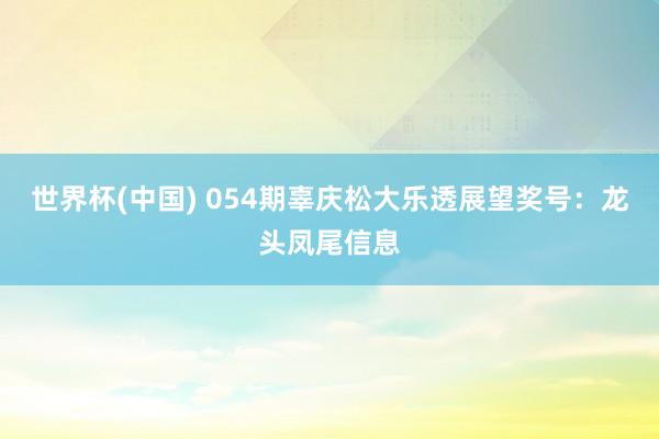 世界杯(中国) 054期辜庆松大乐透展望奖号：龙头凤尾信息
