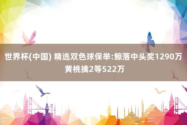 世界杯(中国) 精选双色球保举:鲸落中头奖1290万 黄桃擒2等522万