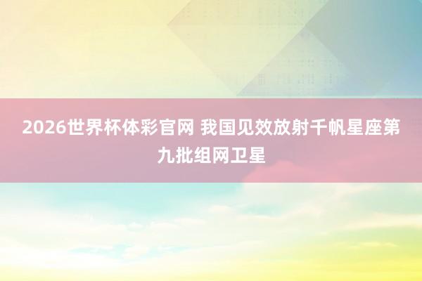 2026世界杯体彩官网 我国见效放射千帆星座第九批组网卫星
