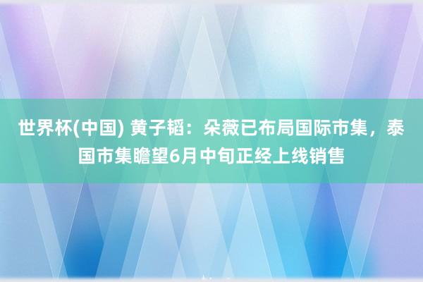 世界杯(中国) 黄子韬：朵薇已布局国际市集，泰国市集瞻望6月中旬正经上线销售