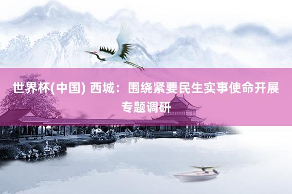 世界杯(中国) 西城：围绕紧要民生实事使命开展专题调研