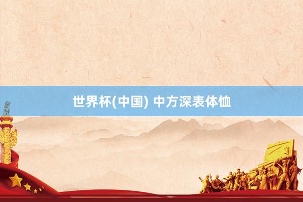 世界杯(中国) 中方深表体恤