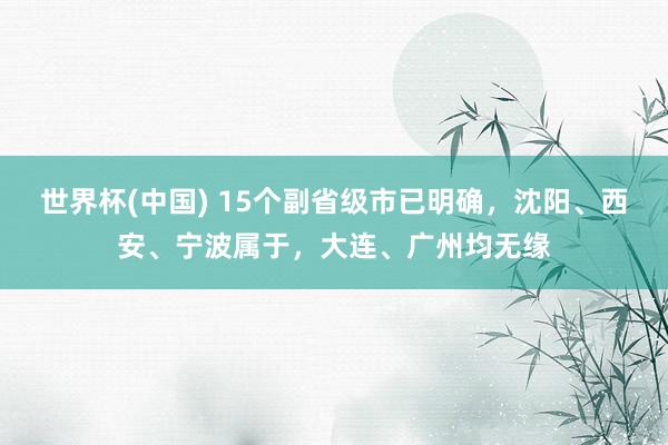 世界杯(中国) 15个副省级市已明确，沈阳、西安、宁波属于，大连、广州均无缘