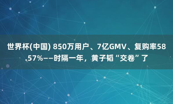 世界杯(中国) 850万用户、7亿GMV、复购率58.57%——时隔一年，黄子韬“交卷”了
