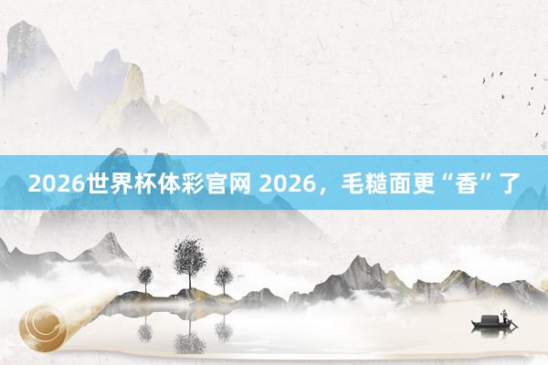 2026世界杯体彩官网 2026，毛糙面更“香”了