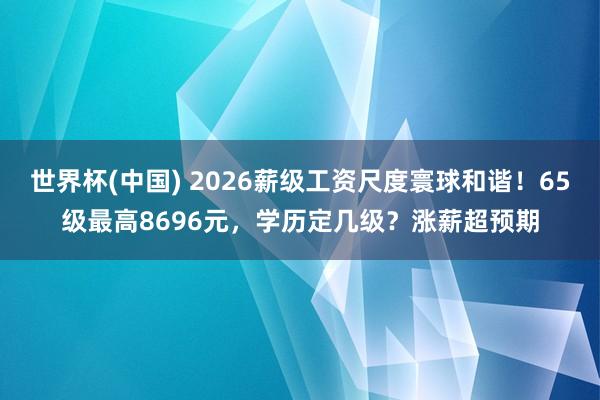 世界杯(中国) 2026薪级工资尺度寰球和谐！65级最高8696元，学历定几级？涨薪超预期
