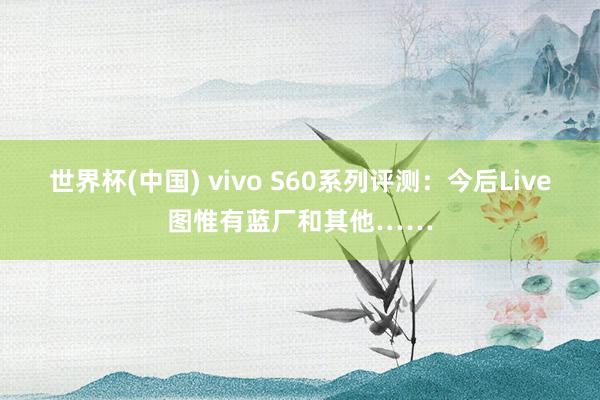 世界杯(中国) vivo S60系列评测：今后Live图惟有蓝厂和其他……