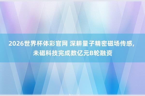 2026世界杯体彩官网 深耕量子精密磁场传感， 未磁科技完成数亿元B轮融资