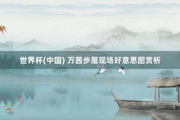 世界杯(中国) 万茜步履现场好意思图赏析