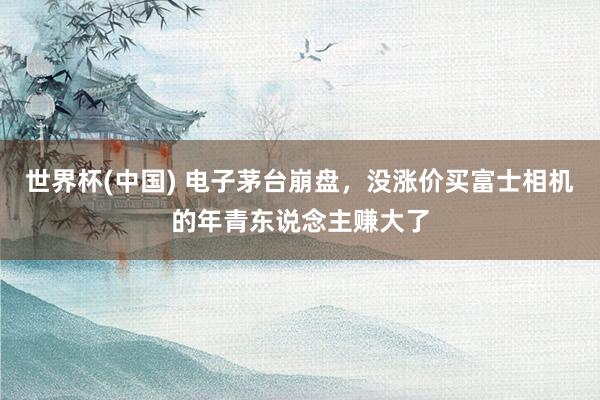 世界杯(中国) 电子茅台崩盘,没涨价买富士相机的年青东说念主赚大了