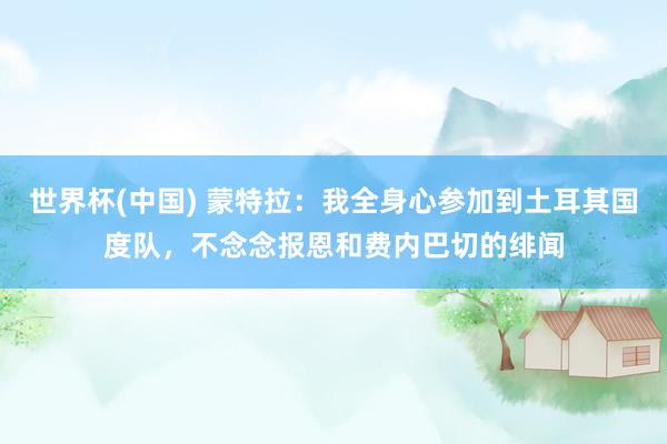 世界杯(中国) 蒙特拉:我全身心参加到土耳其国度队,不念念报恩和费内巴切的绯闻
