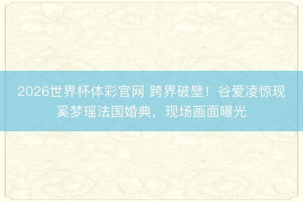 2026世界杯体彩官网 跨界破壁!谷爱凌惊现奚梦瑶法国婚典,现场画面曝光
