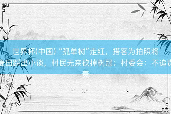 世界杯(中国) “孤单树”走红,搭客为拍照将麦田踩出小谈,村民无奈砍掉树冠;村委会:不追责