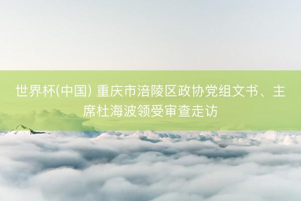 世界杯(中国) 重庆市涪陵区政协党组文书、主席杜海波领受审查走访