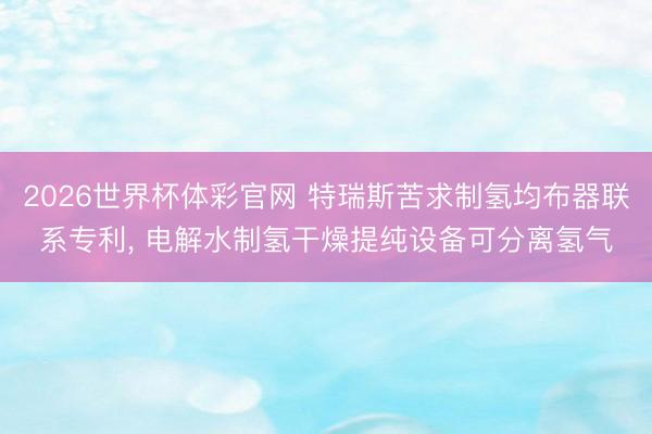 2026世界杯体彩官网 特瑞斯苦求制氢均布器联系专利, 电解水制氢干燥提纯设备可分离氢气