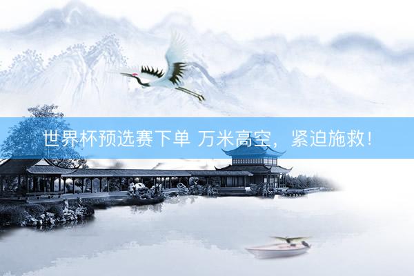 世界杯预选赛下单 万米高空，紧迫施救！