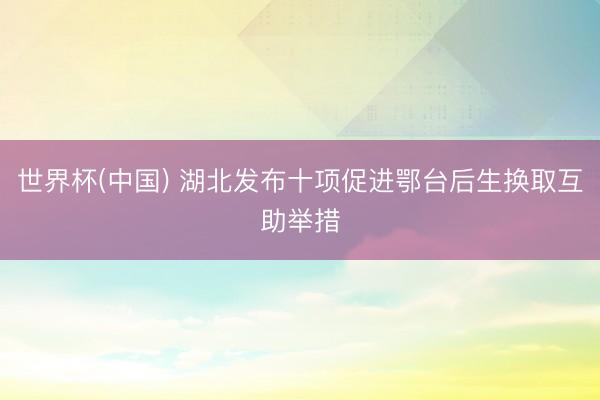 世界杯(中国) 湖北发布十项促进鄂台后生换取互助举措
