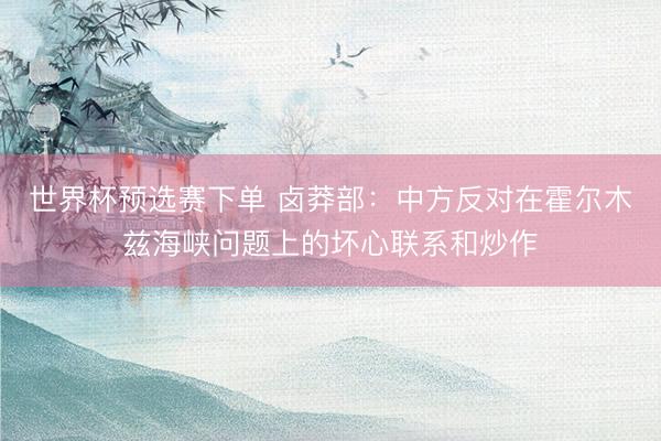世界杯预选赛下单 卤莽部：中方反对在霍尔木兹海峡问题上的坏心联系和炒作