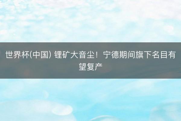 世界杯(中国) 锂矿大音尘！宁德期间旗下名目有望复产